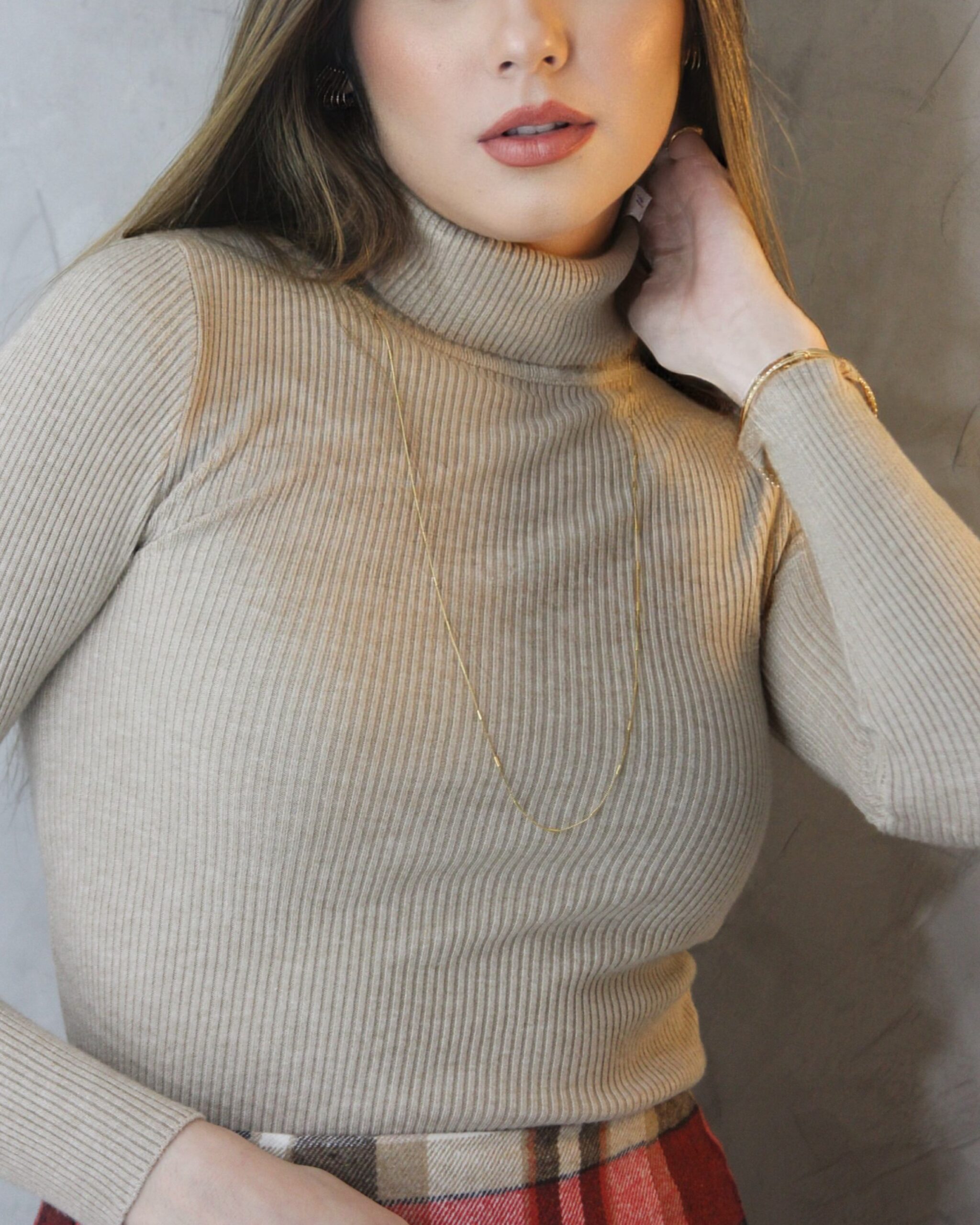 Imagem do produto BLUSA TRICOT BASIC GOLA CAQUI